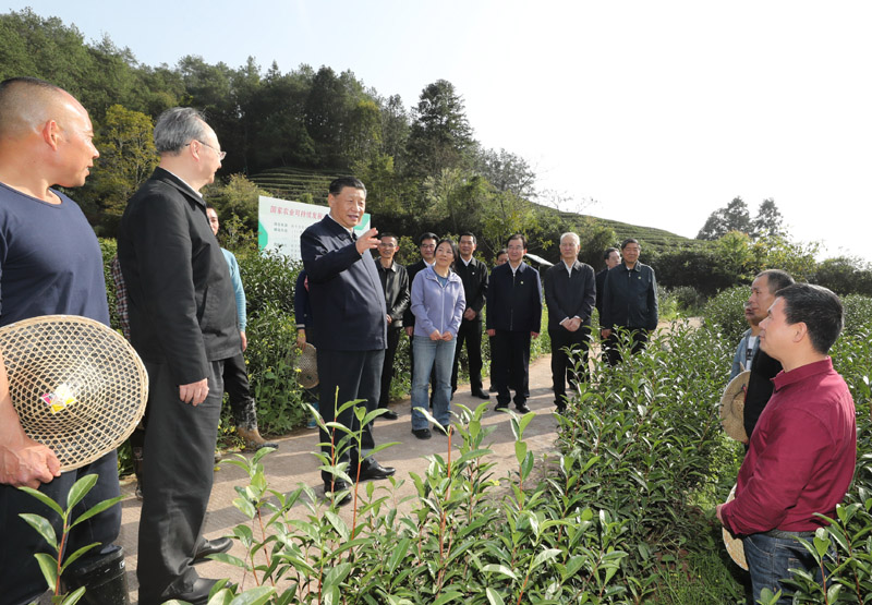 3月22日至25日，中共中央總書記、國家主席、中央軍委主席習(xí)近平在福建考察。這是22日下午，習(xí)近平在南平武夷山市星村鎮(zhèn)燕子窠生態(tài)茶園，同科技特派員、茶農(nóng)親切交流，了解當(dāng)?shù)夭璁a(chǎn)業(yè)發(fā)展情況。新華社記者 鞠鵬 攝